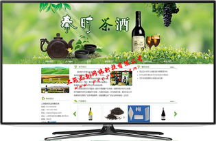 松江網(wǎng)站建設(shè)專業(yè)服務(wù) 打造卓越網(wǎng)站，助力企業(yè)線上飛躍