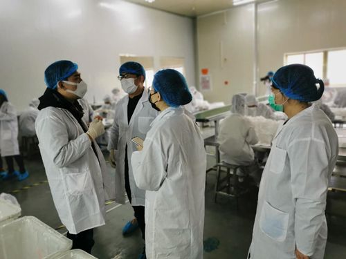 審計助力防疫物資企業(yè)復(fù)工復(fù)產(chǎn)，福州展現(xiàn)服務(wù)溫度